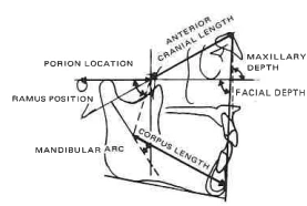 Manual Illustration